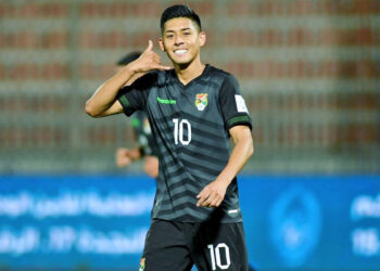 Vienen por Ramiro Vaca del extranjero