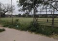 Canchas limpias: avanzan los trabajos de recuperación en espacios deportivos de Yacuiba